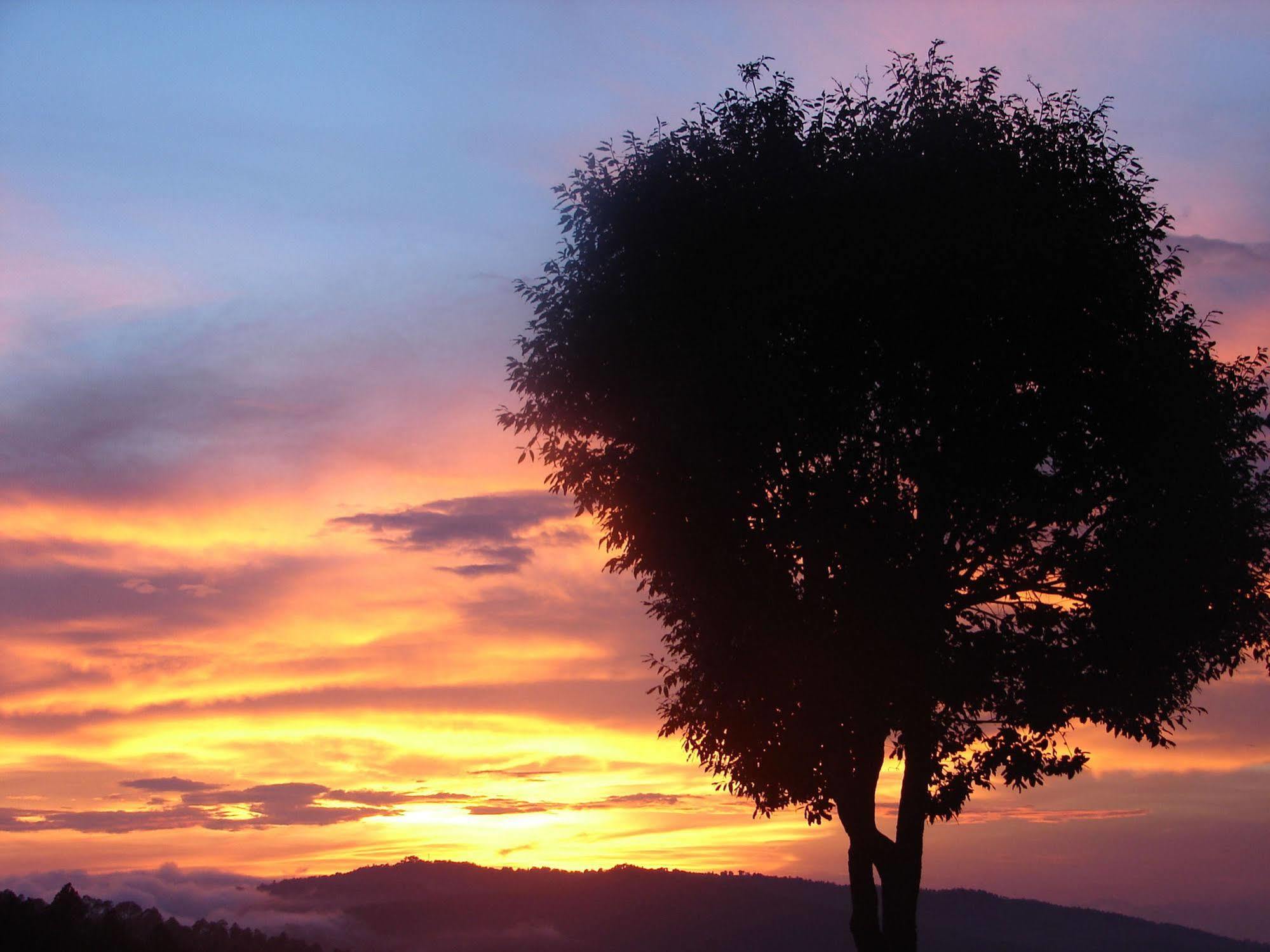 Blusalzz Escapade Anant Rasa Resort - Ranikhet Shitlakhet Buitenkant foto
